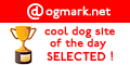 Cool Dog Site